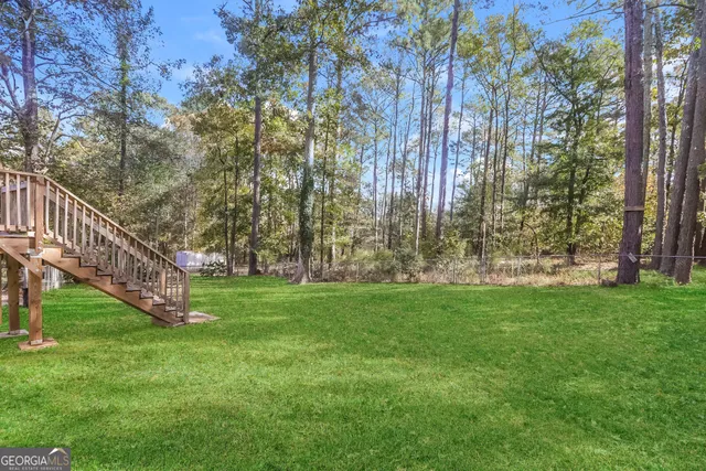 a view of a garden with large trees