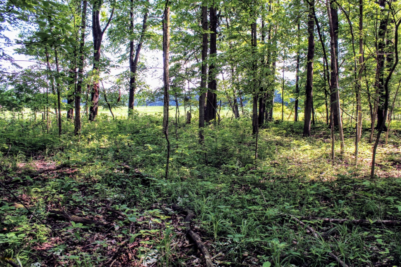 18218 27 Mile Road Springport, MI 49284 - Photo 50 of 64