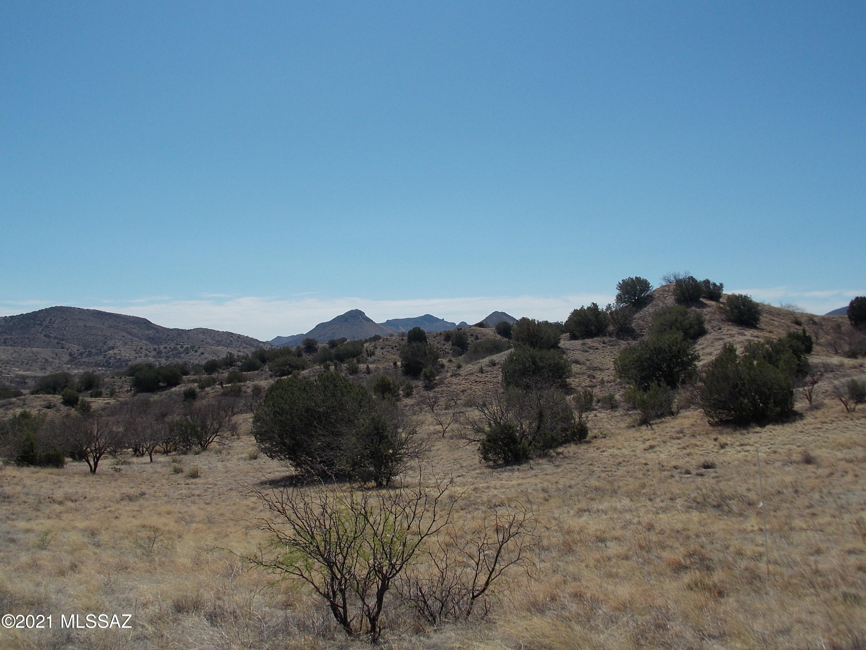 154 Tanglehead, Unit 44 Patagonia, AZ 85624 - Photo 6 of 15