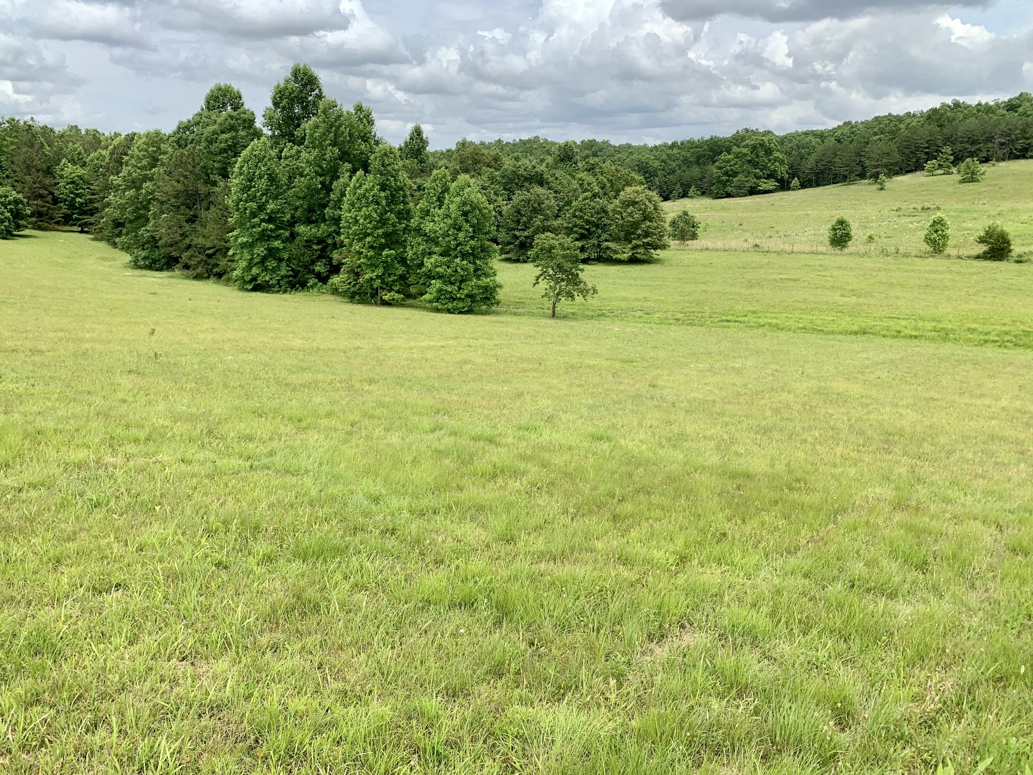 833 Vine Ridge Road Crawford, TN 38554 - Photo 50 of 50 Gallery Image 50