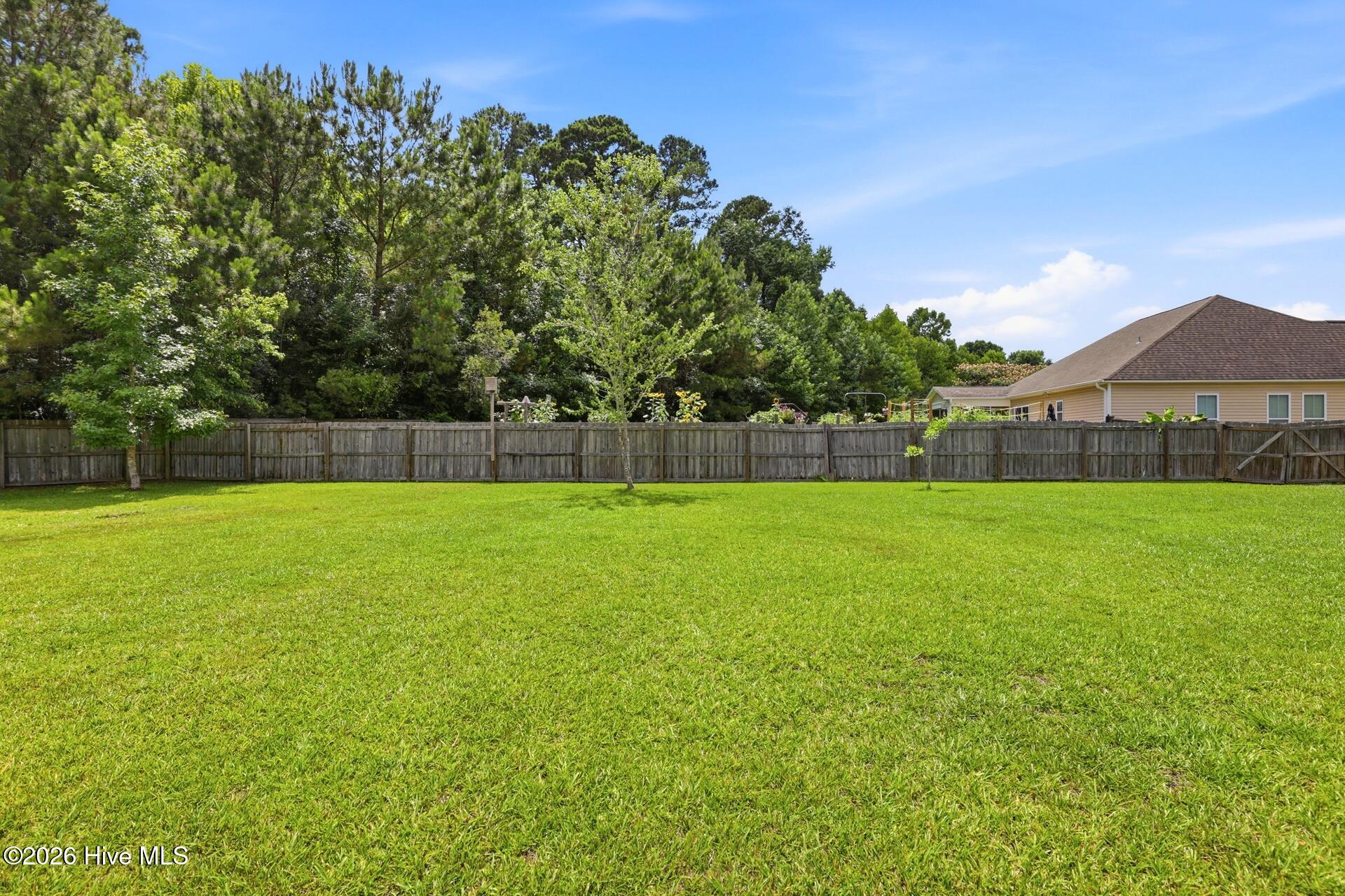161 Watersfield Road Leland, NC 28451 - Photo 58 of 88