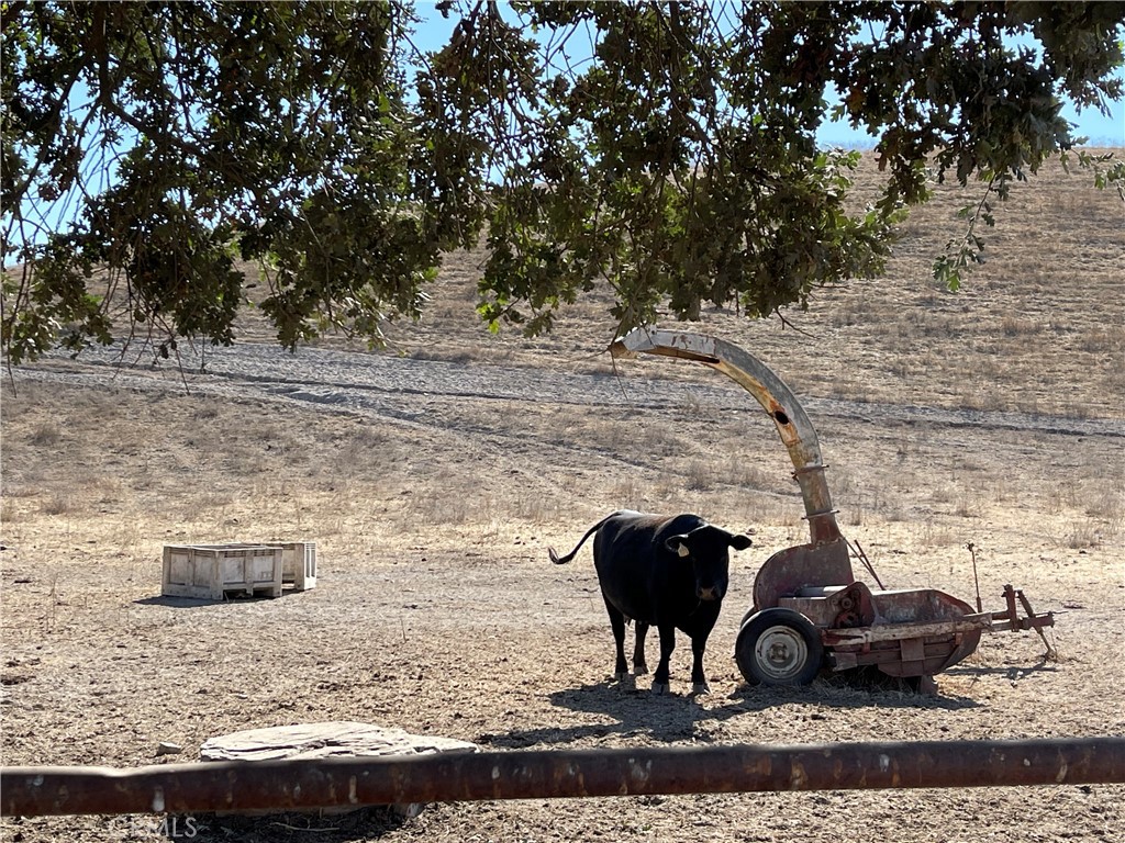 1 Las Tablas Road Templeton, CA 93465 - Photo 6 of 8