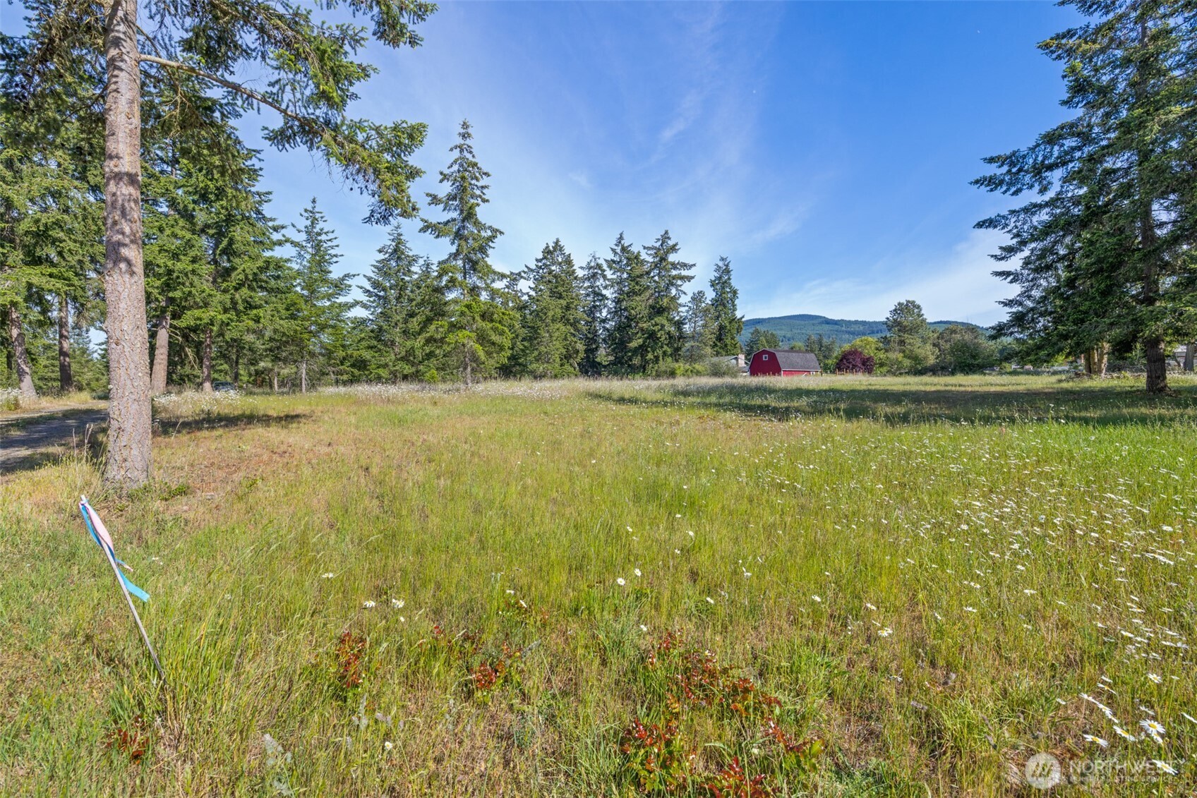 405 Riverside Road, Unit LOT C Sequim, WA 98382 - Photo 8 of 39