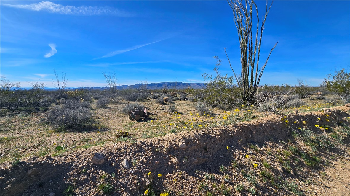 3035 South Castle Butte Road Yucca, AZ 86438 - Photo 1 of 34 View