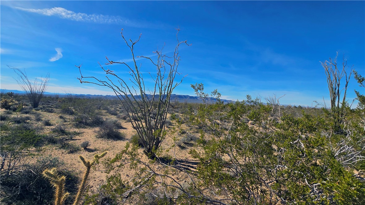 3035 South Castle Butte Road Yucca, AZ 86438 - Photo 12 of 34 View