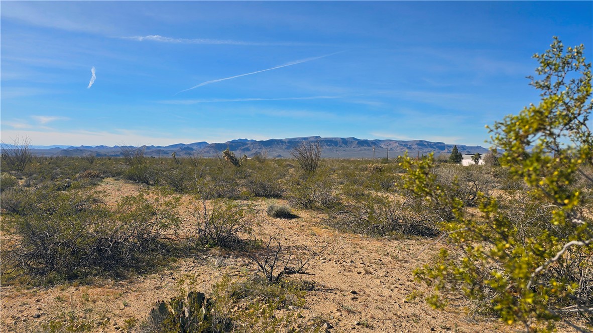 3035 South Castle Butte Road Yucca, AZ 86438 - Photo 13 of 34 View