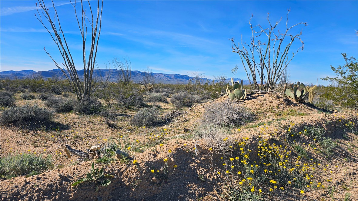 3035 South Castle Butte Road Yucca, AZ 86438 - Photo 14 of 34 View