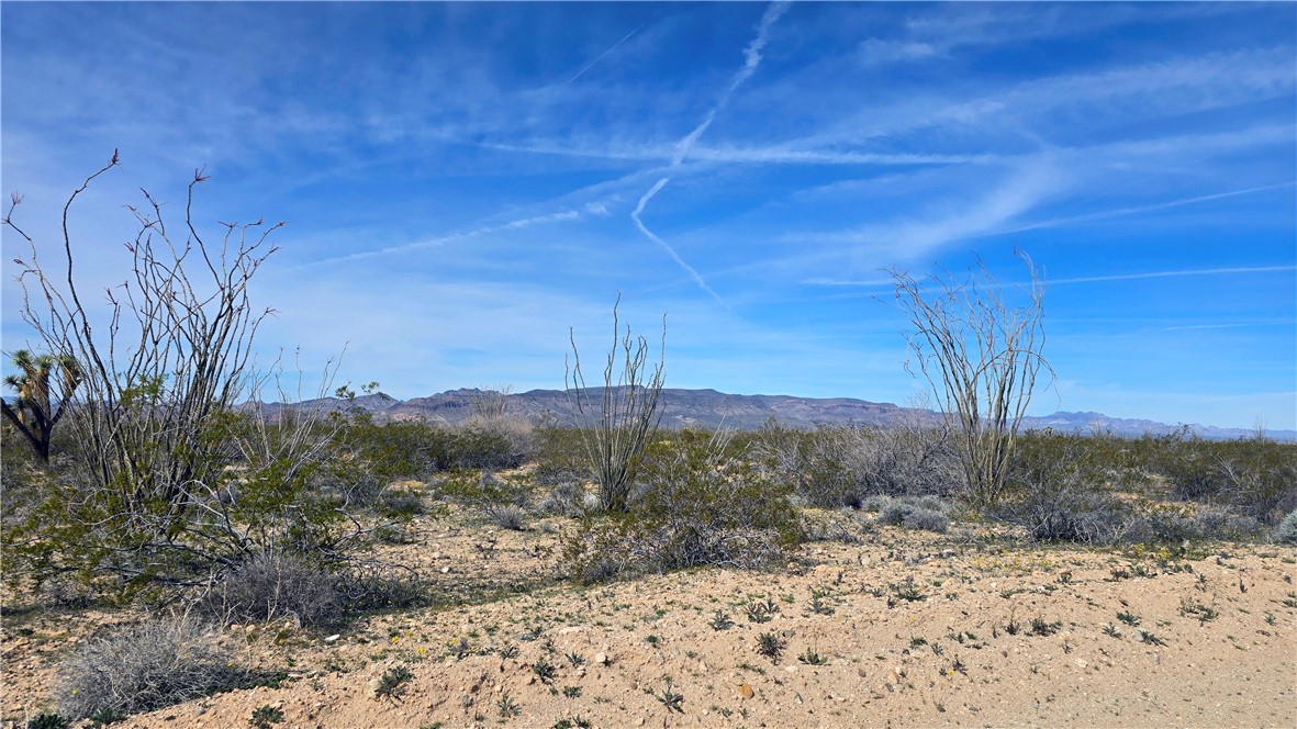 3035 South Castle Butte Road Yucca, AZ 86438 - Photo 16 of 34 View