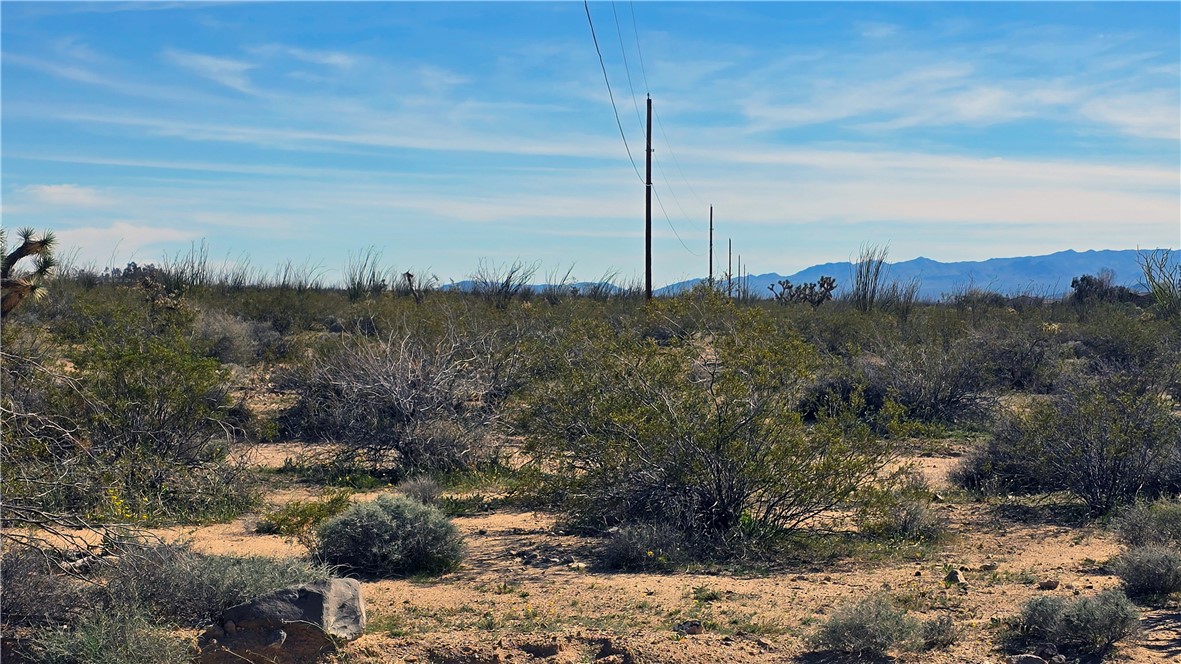3035 South Castle Butte Road Yucca, AZ 86438 - Photo 20 of 34 View