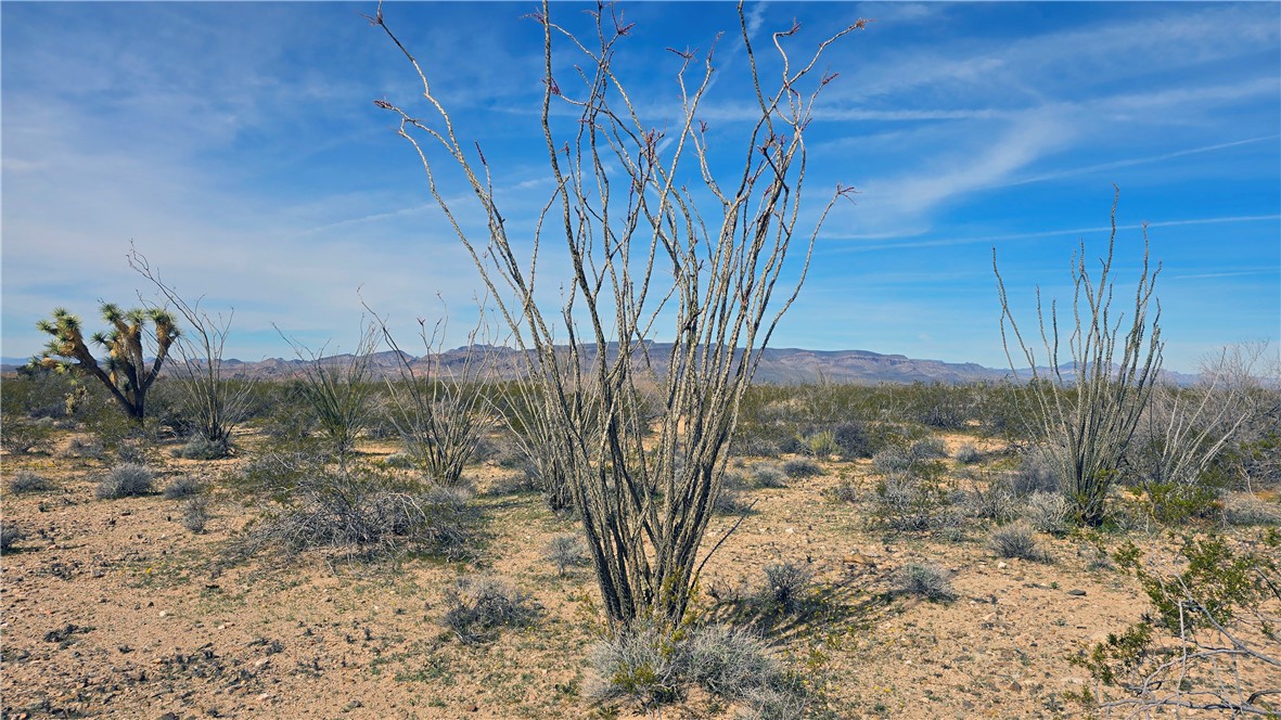 3035 South Castle Butte Road Yucca, AZ 86438 - Photo 2 of 34 View