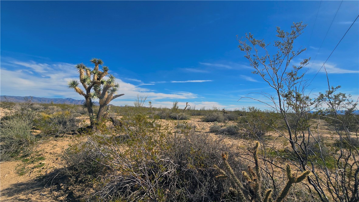 3035 South Castle Butte Road Yucca, AZ 86438 - Photo 23 of 34 Other