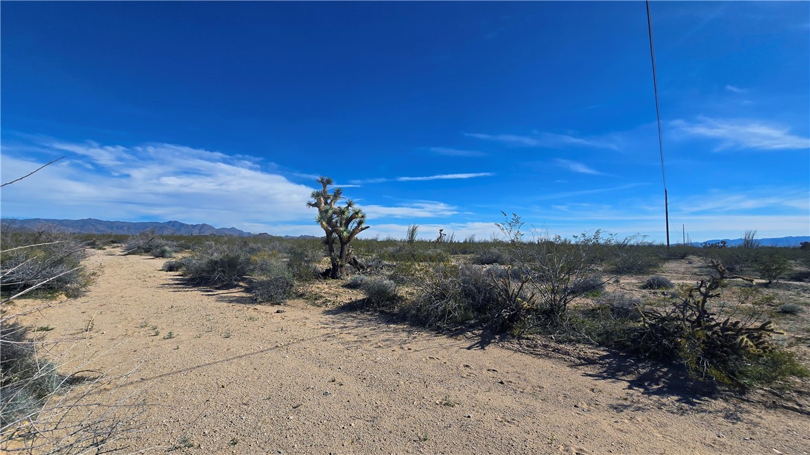 3035 South Castle Butte Road Yucca, AZ 86438 - Photo 24 of 34 Other