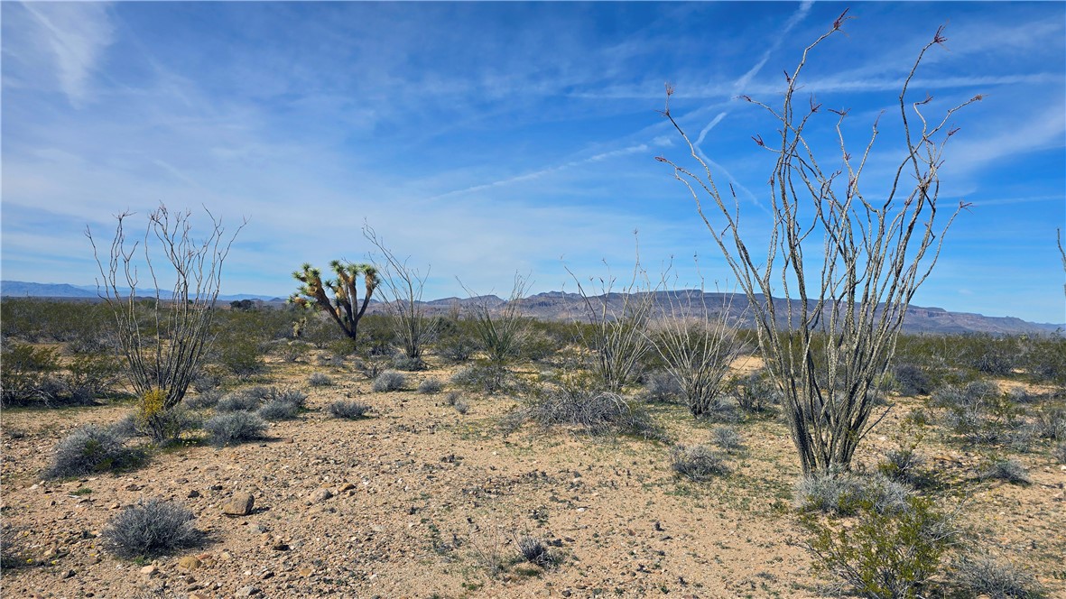 3035 South Castle Butte Road Yucca, AZ 86438 - Photo 3 of 34 View