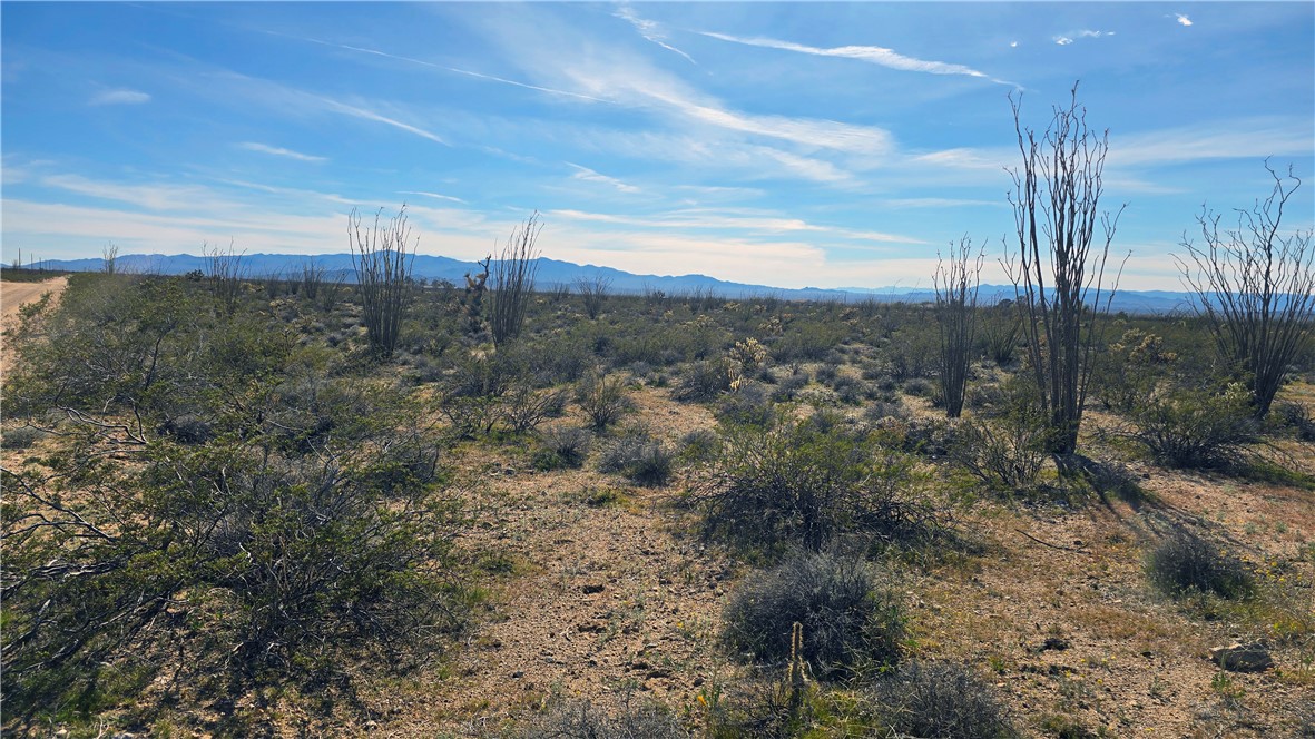 3035 South Castle Butte Road Yucca, AZ 86438 - Photo 32 of 34 View