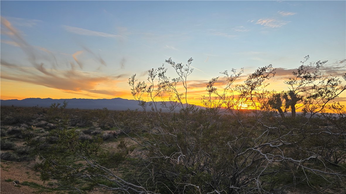 3035 South Castle Butte Road Yucca, AZ 86438 - Photo 5 of 34 View