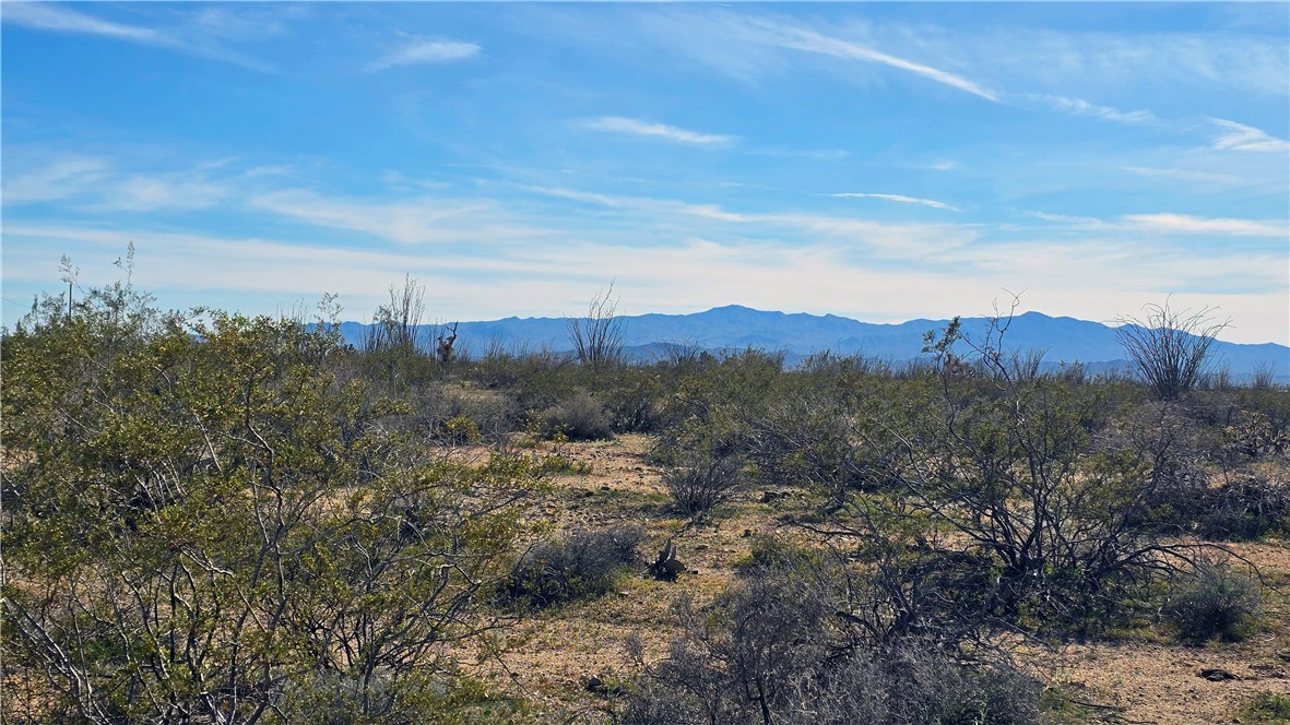 3035 South Castle Butte Road Yucca, AZ 86438 - Photo 7 of 34 View
