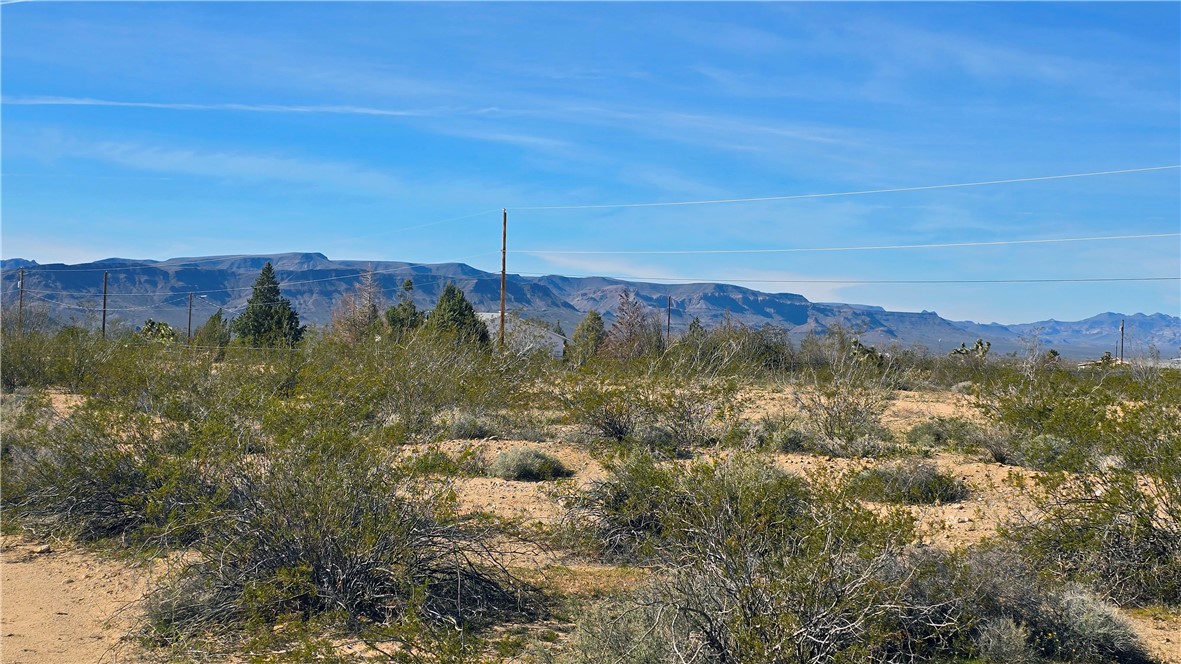 3035 South Castle Butte Road Yucca, AZ 86438 - Photo 10 of 34 View