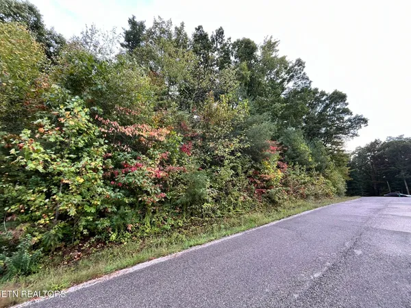 $42,000 | 1 Evergreen Drive, Oneida, TN 37841