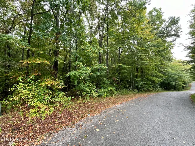 $42,000 | 1 Evergreen Drive, Oneida, TN 37841