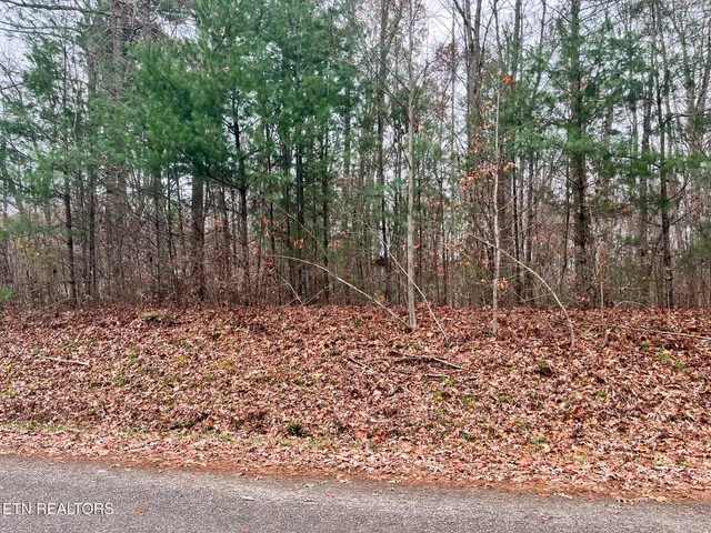 $42,000 | 1 Evergreen Drive, Oneida, TN 37841