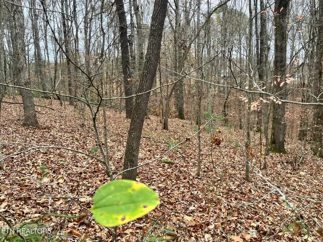 $42,000 | 1 Evergreen Drive, Oneida, TN 37841