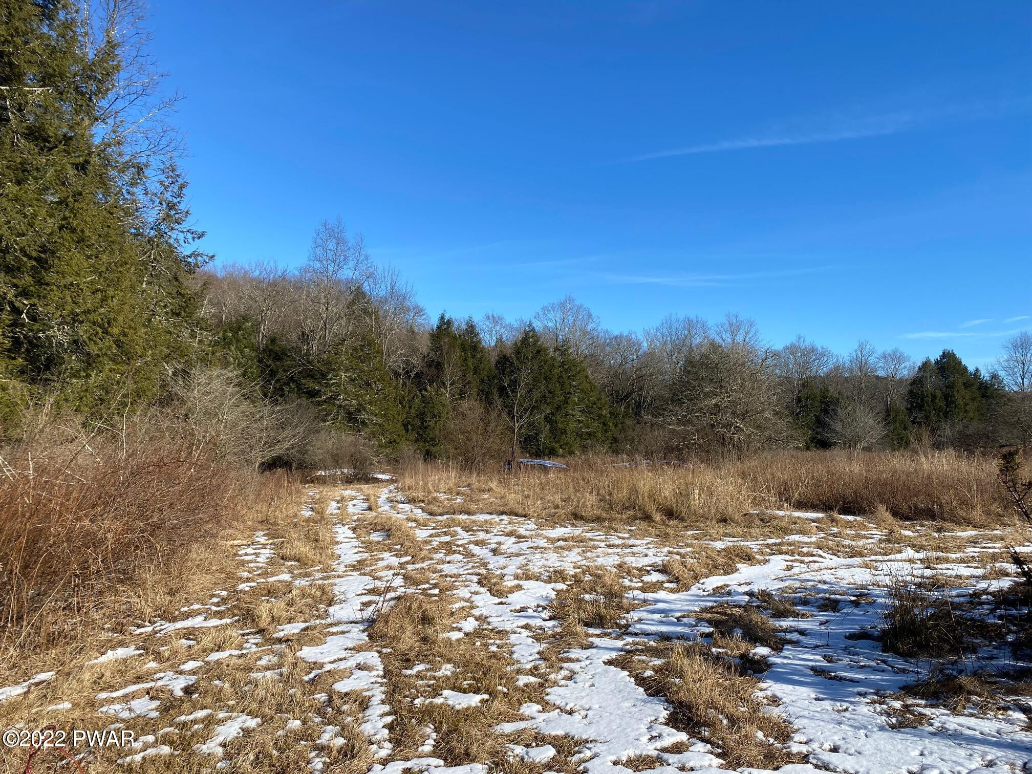 Calkins Road Milanville, PA 18443 - Photo 25 of 30