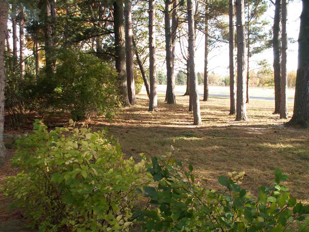 6790 Hoadley Road Benzonia, MI 49616 - Photo 20 of 30 1808836-19.JPG