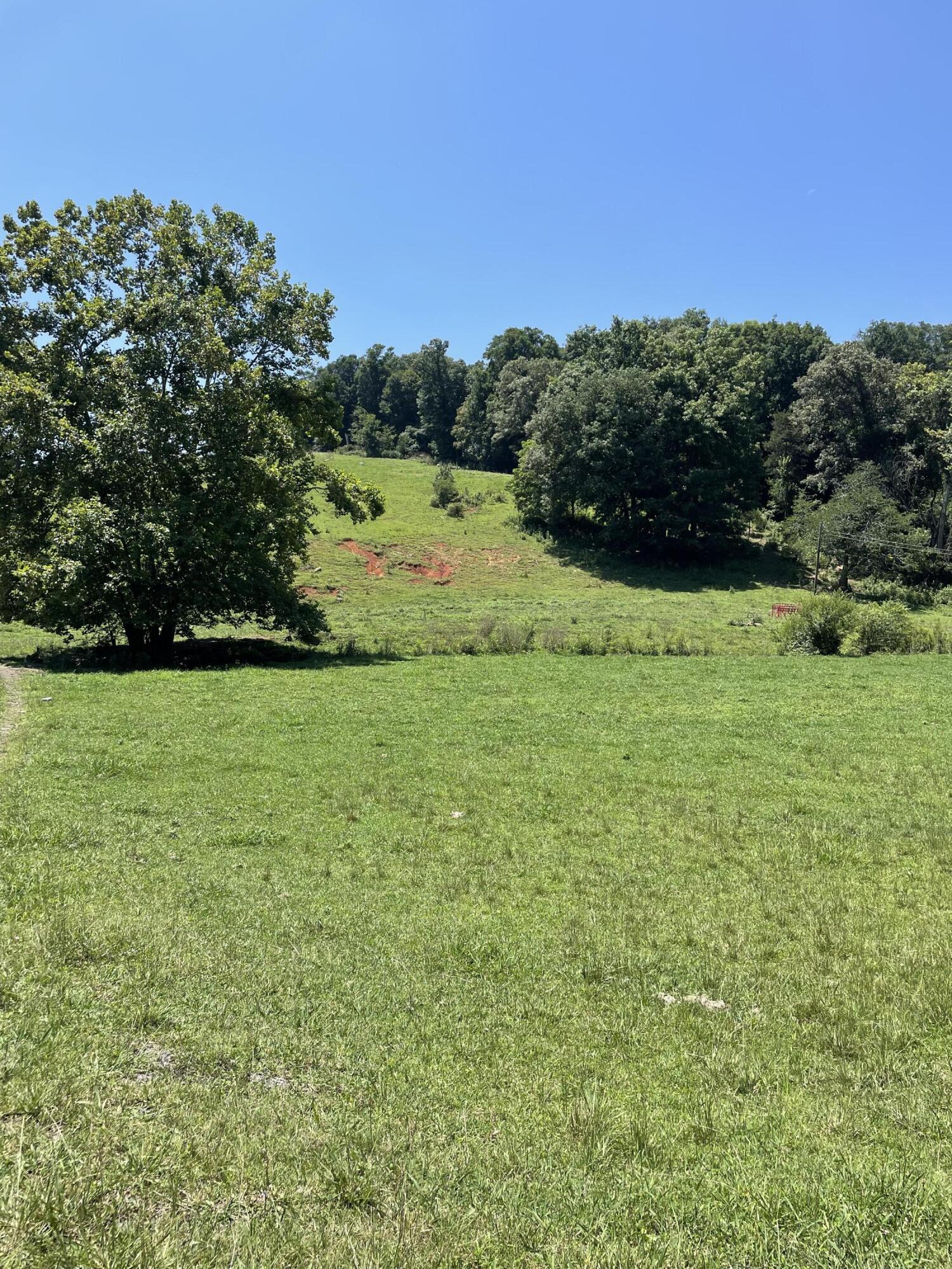 81 Rd Jonesborough Tn 37659 Road Jonesborough, TN 37659 - Photo 4 of 5 CFB19C86-7397-4F9A-94C2-47759B2E74D0