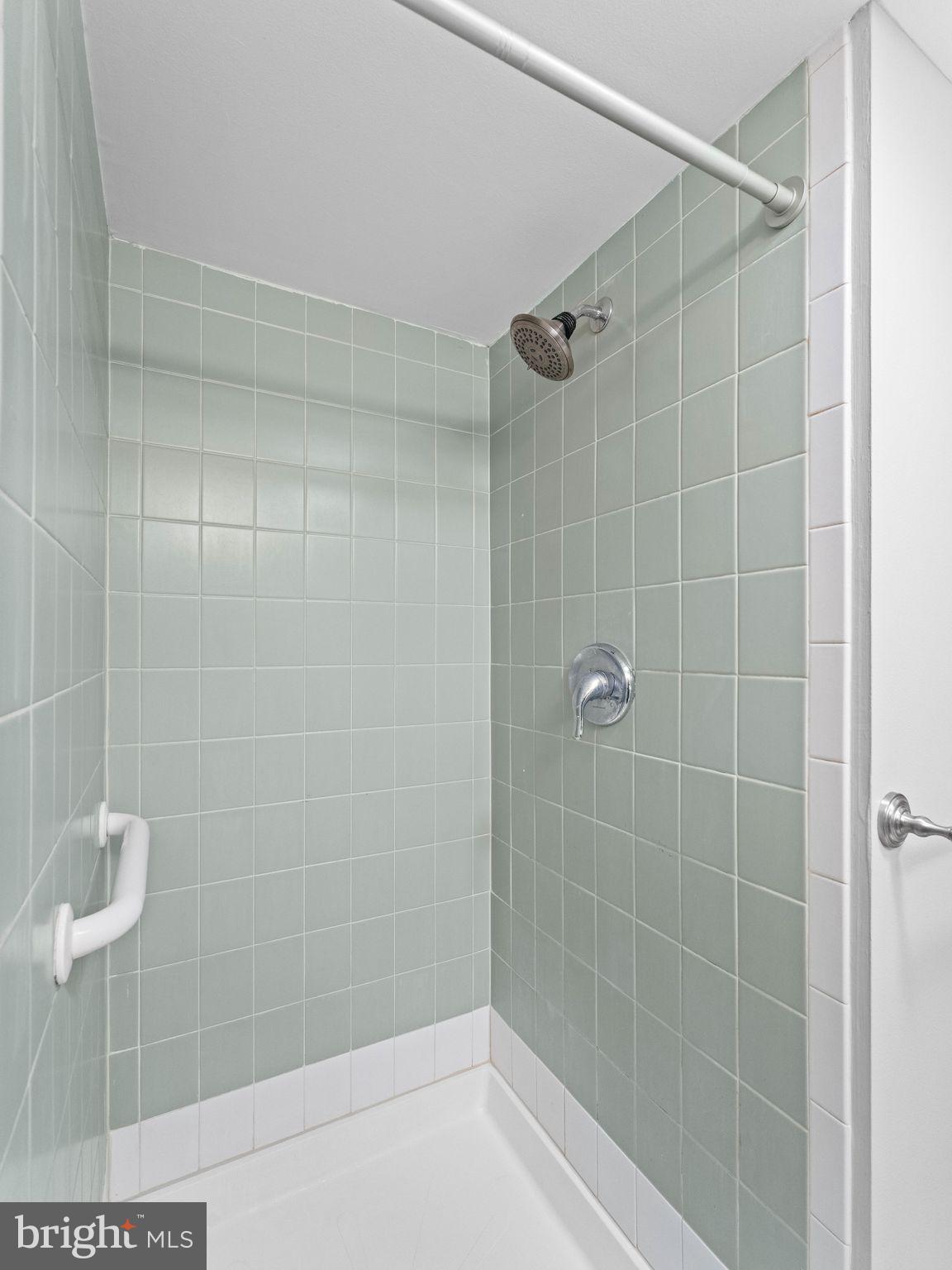 3395 Upper Valley Road Parkesburg, PA 19365 - Photo 34 of 56 Shower in Lower Level