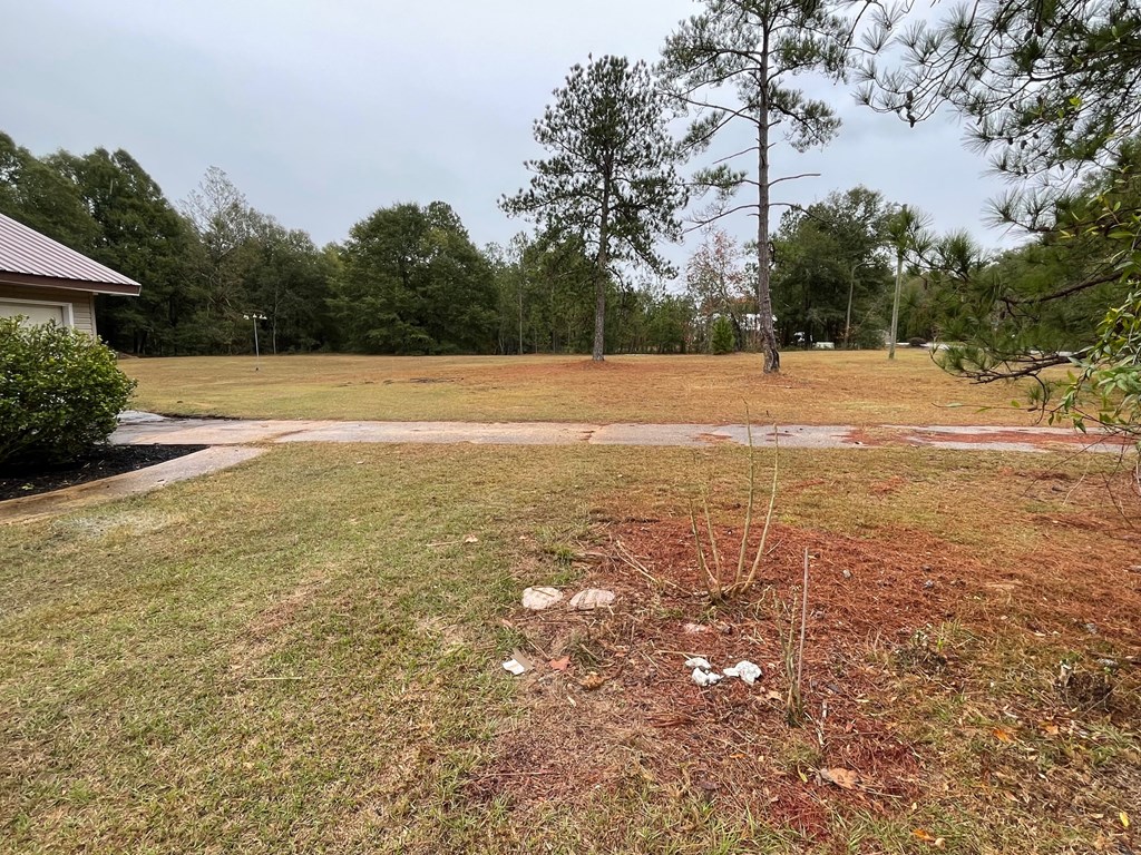 215 Redmond Road Lumpkin, GA 31815 - Photo 3 of 26 Gallery Image 3