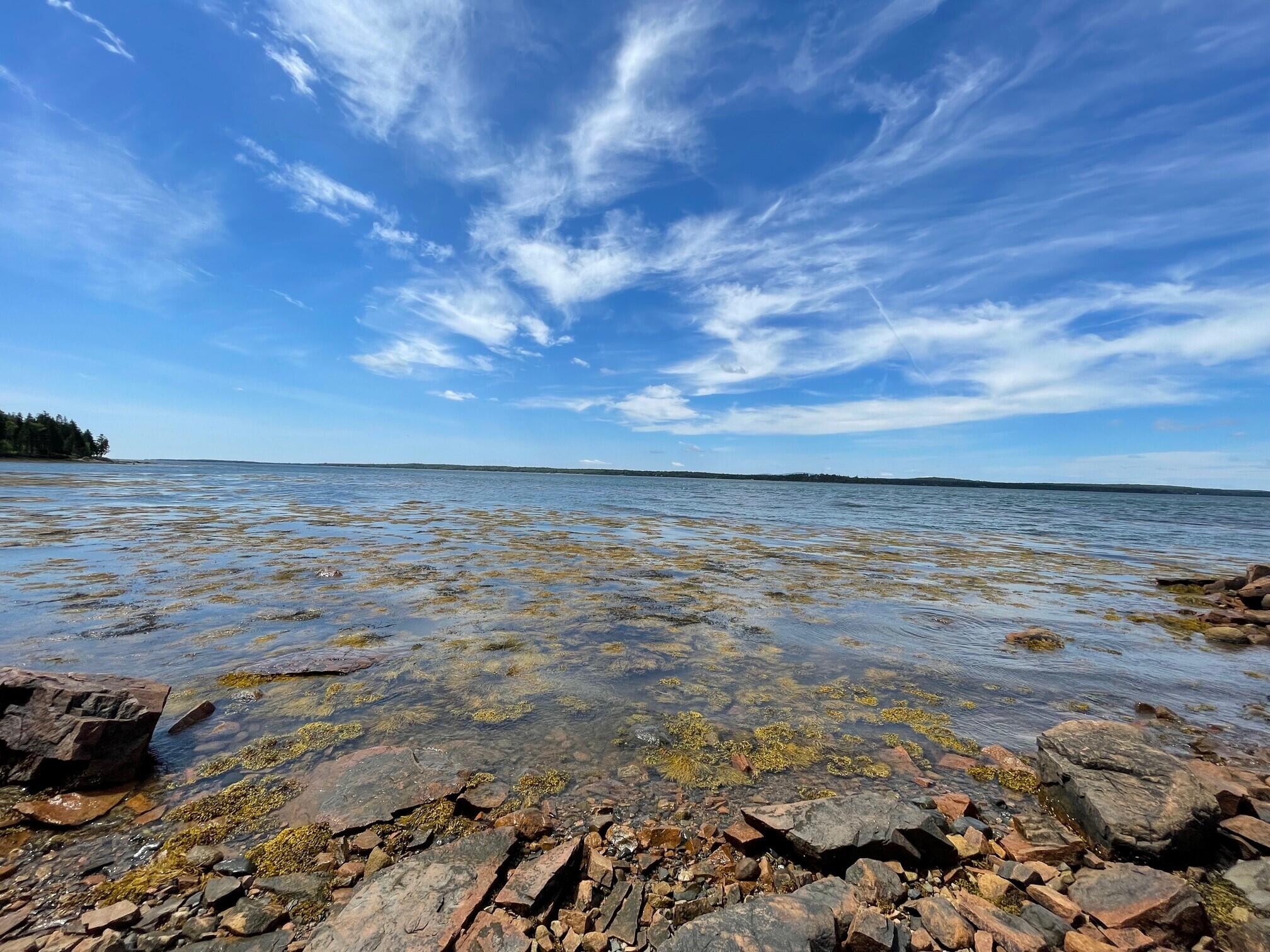 164 Estates Road Steuben, ME 04680 - Photo 12 of 17 view of outer shores