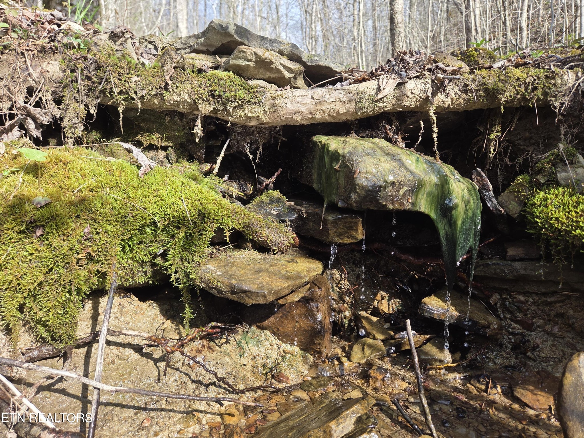 0 Grassy Knob Road Robbins, TN 37852 - Photo 15 of 25 Gallery Image 15