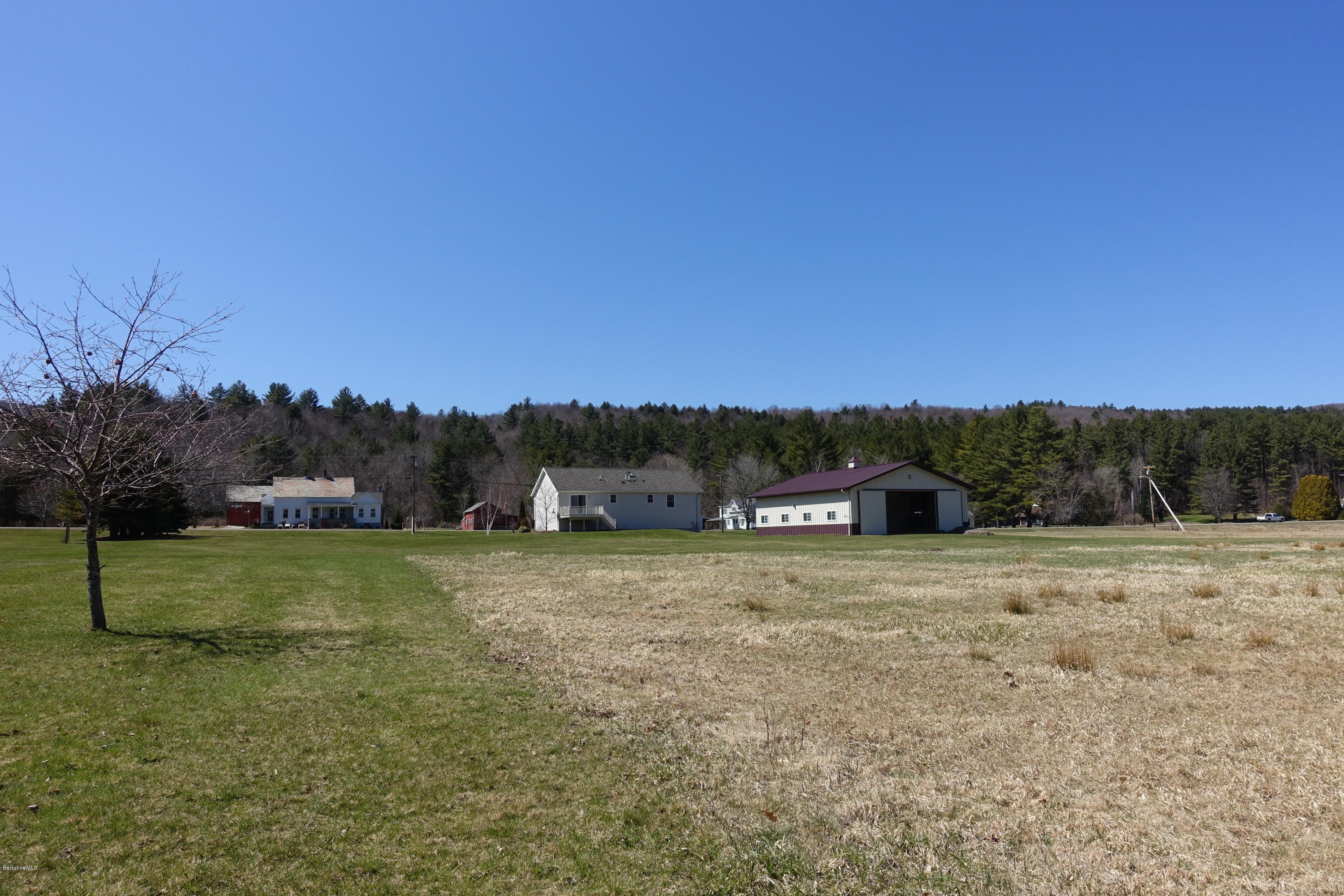 1254 Main Road Stamford, VT 05352 - Photo 13 of 39 a big yard with lots of trees