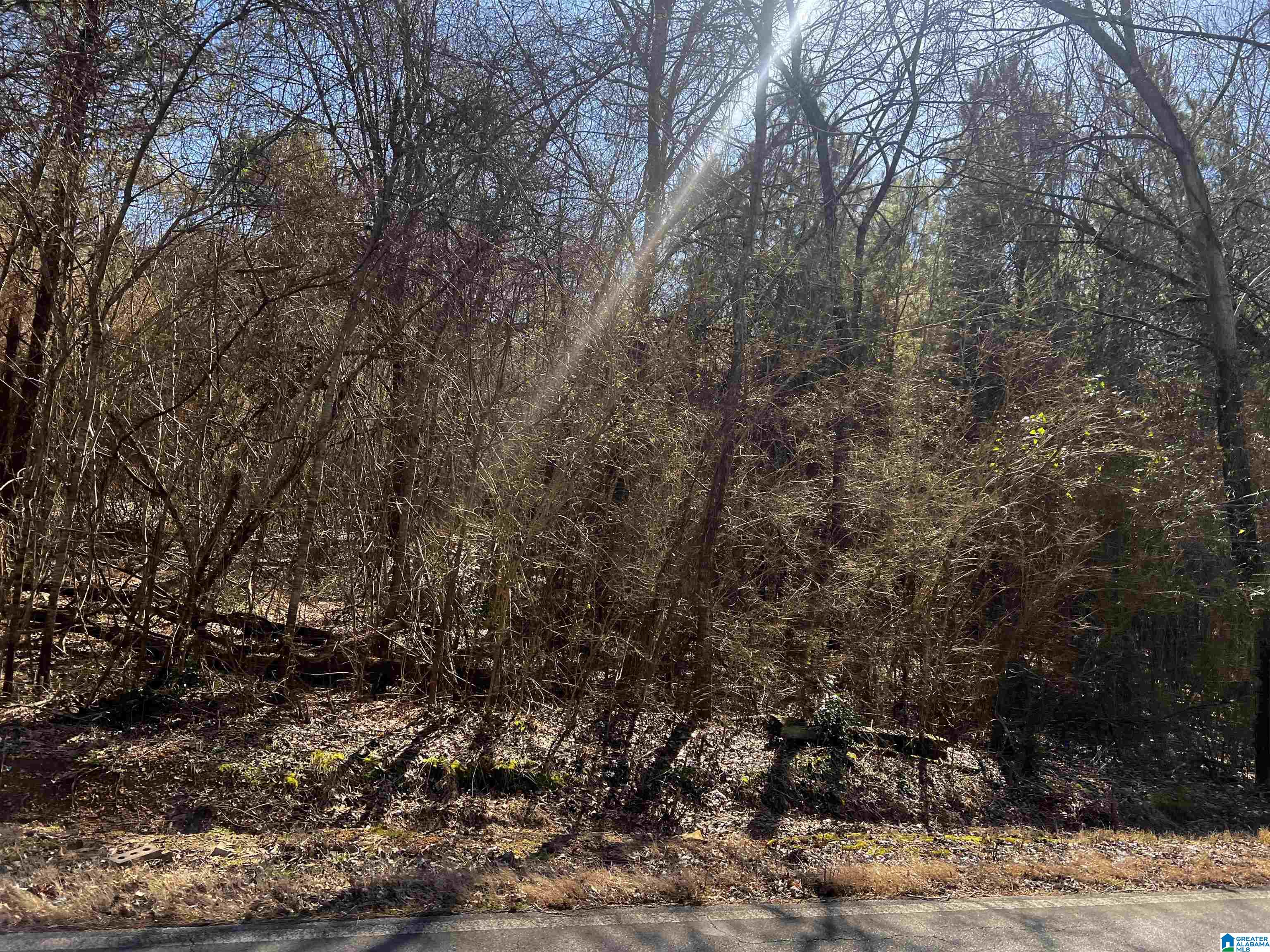0 Wolf Creek Road North, Unit 10 ACRES Pell City, AL 35125 - Photo 3 of 15