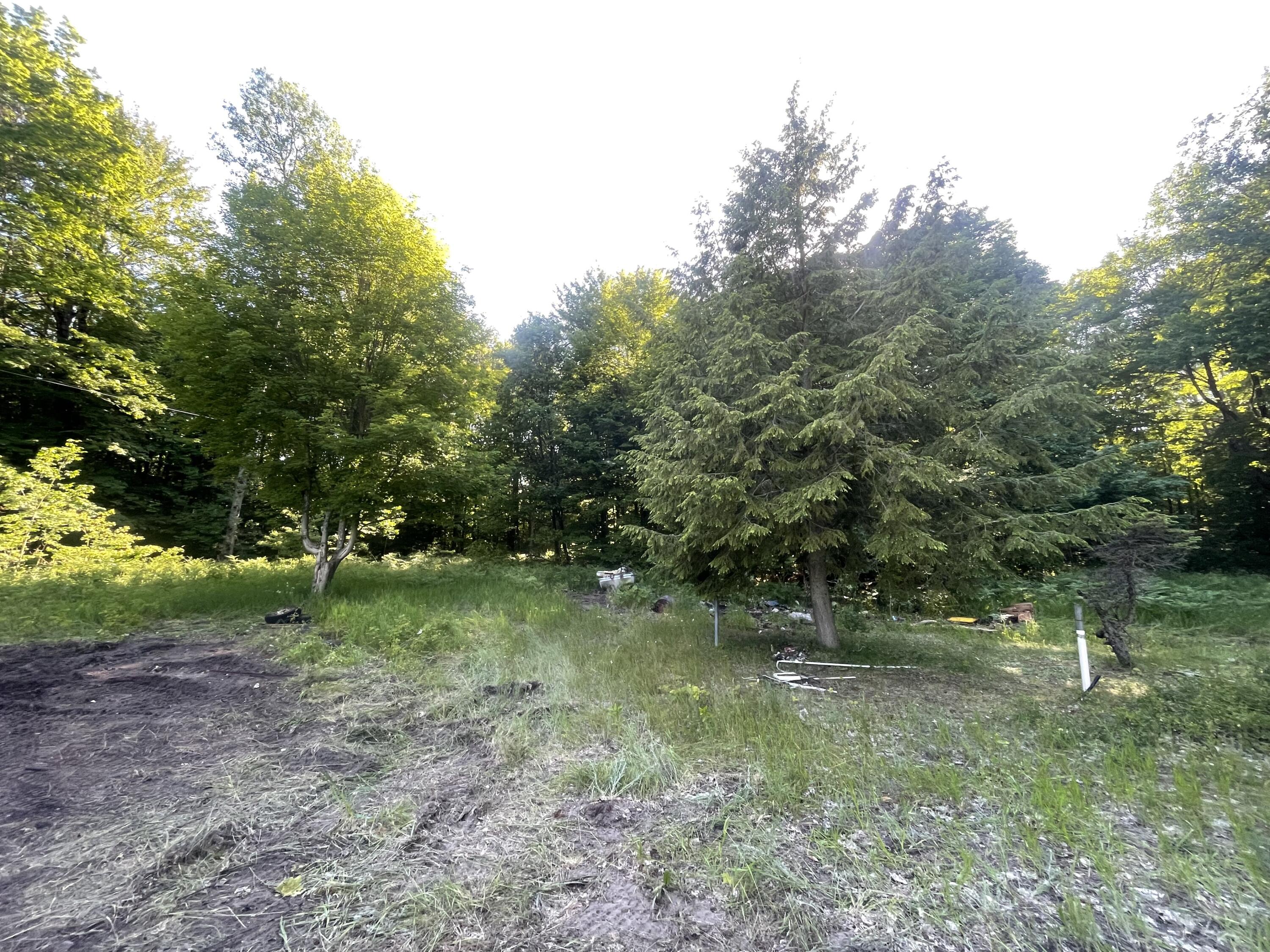 7461 King Road Benzonia, MI 49616 - Photo 12 of 30 4