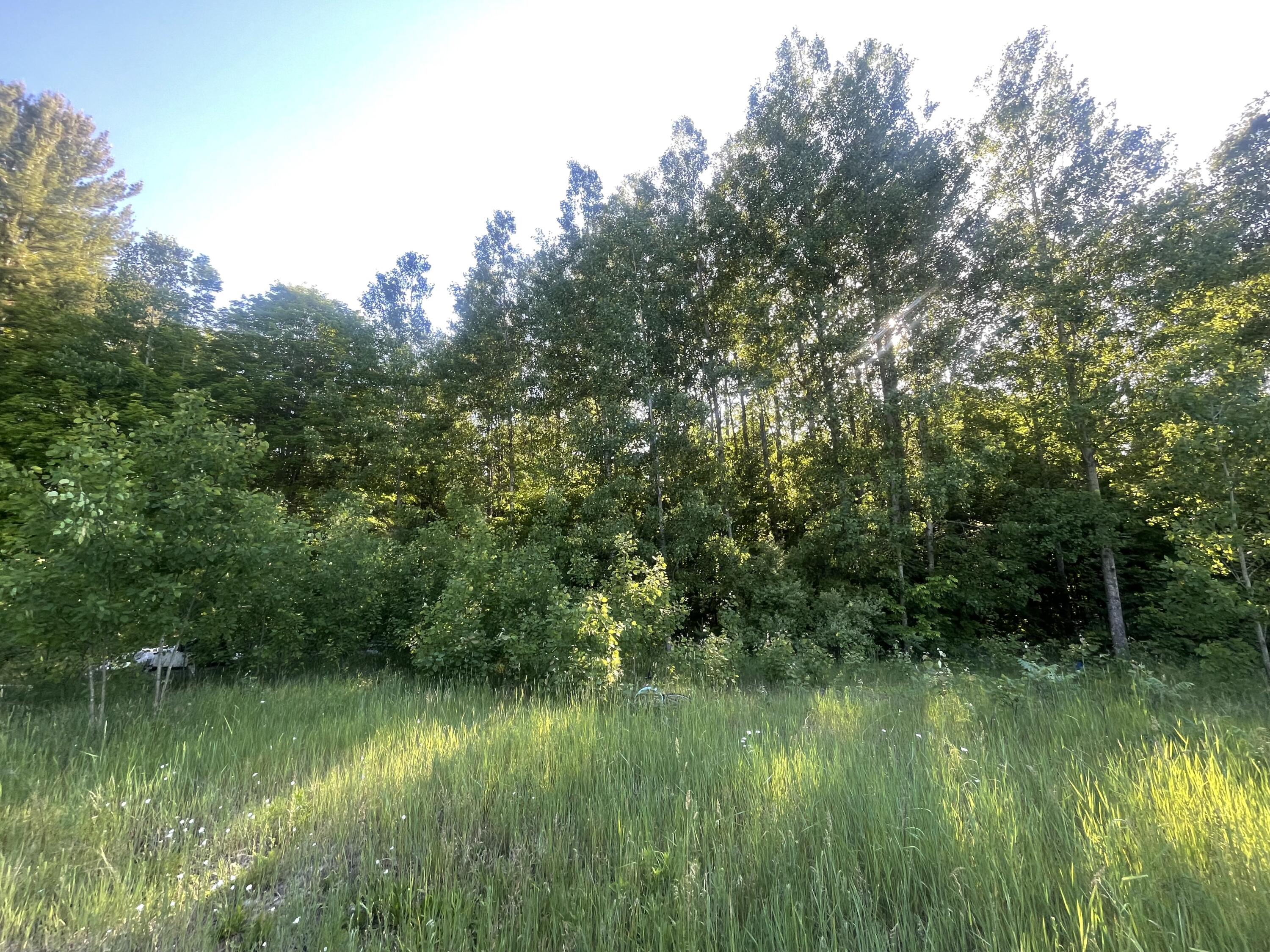 7461 King Road Benzonia, MI 49616 - Photo 16 of 30 8