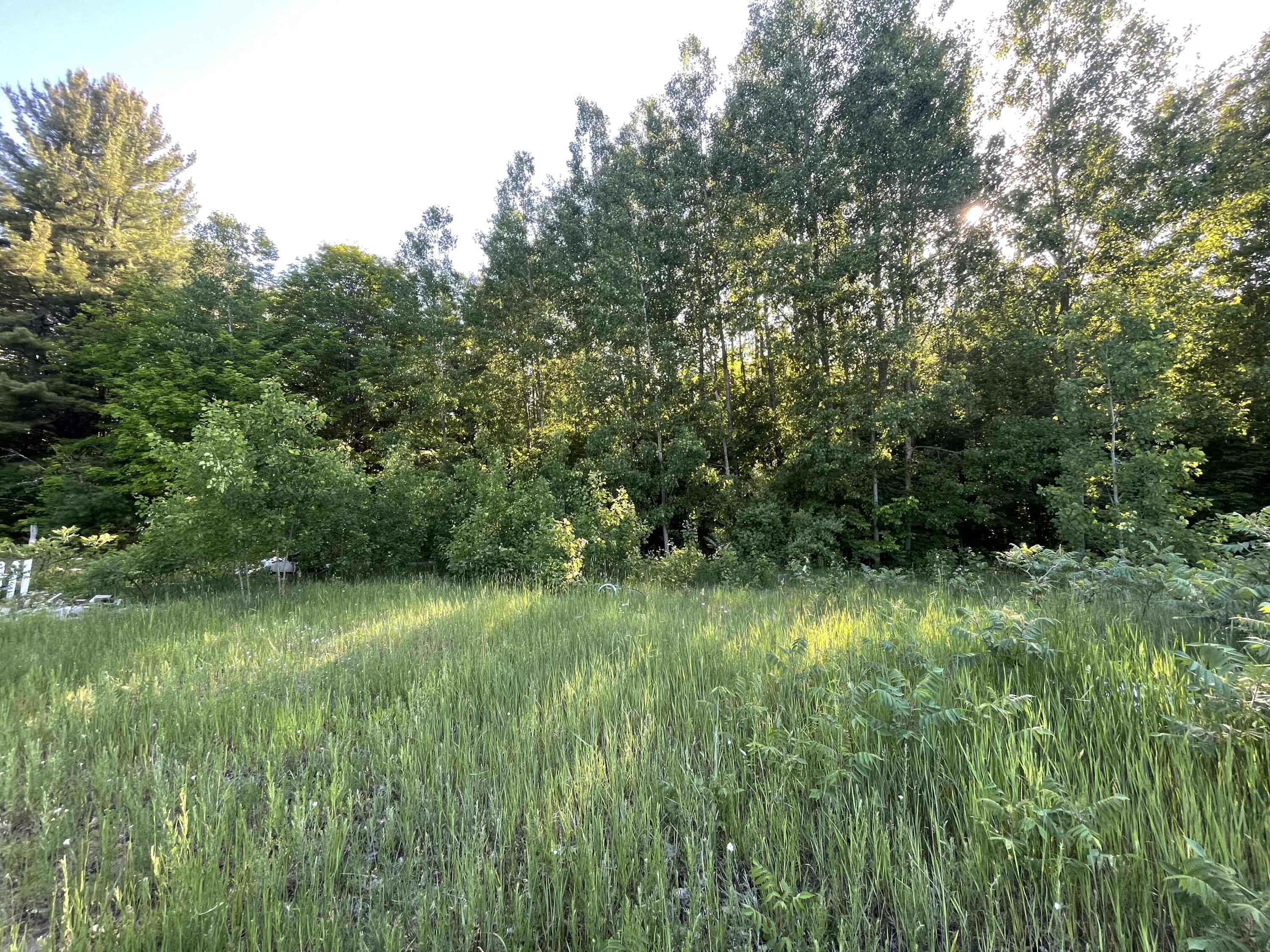 7461 King Road Benzonia, MI 49616 - Photo 17 of 30 9