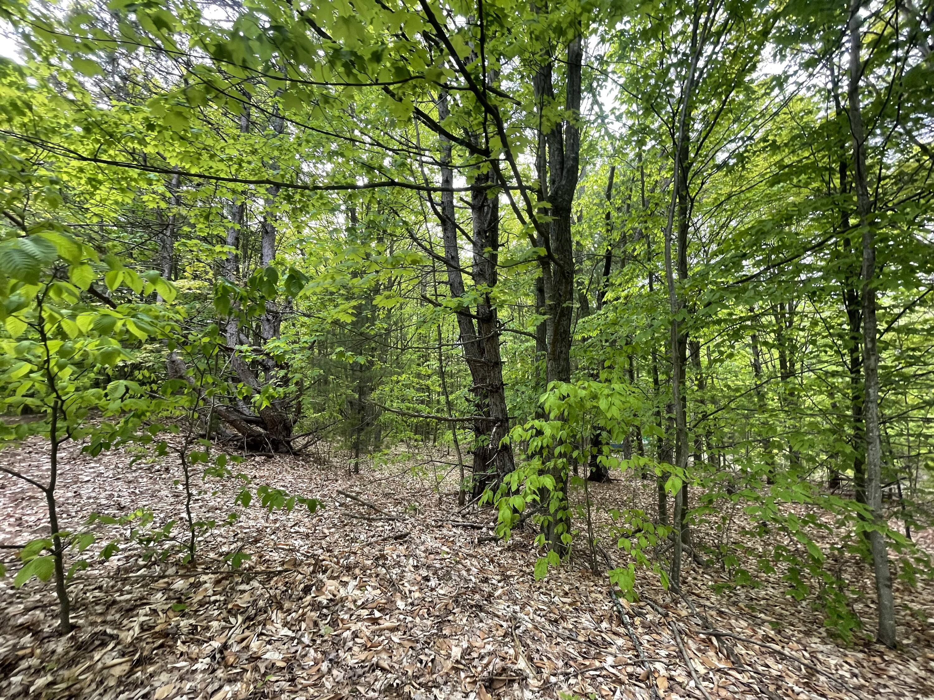 7461 King Road Benzonia, MI 49616 - Photo 21 of 30 13