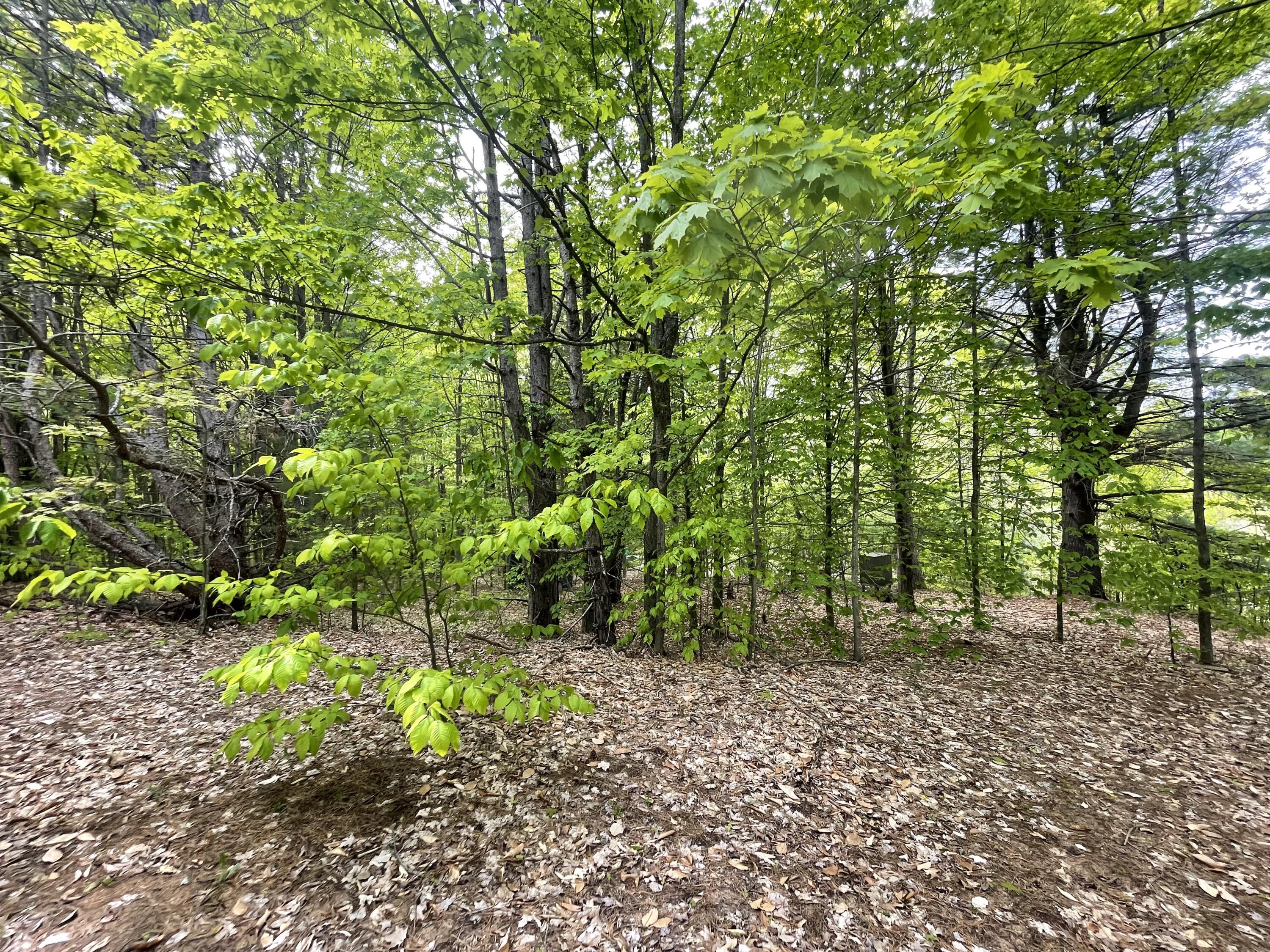7461 King Road Benzonia, MI 49616 - Photo 22 of 30 14