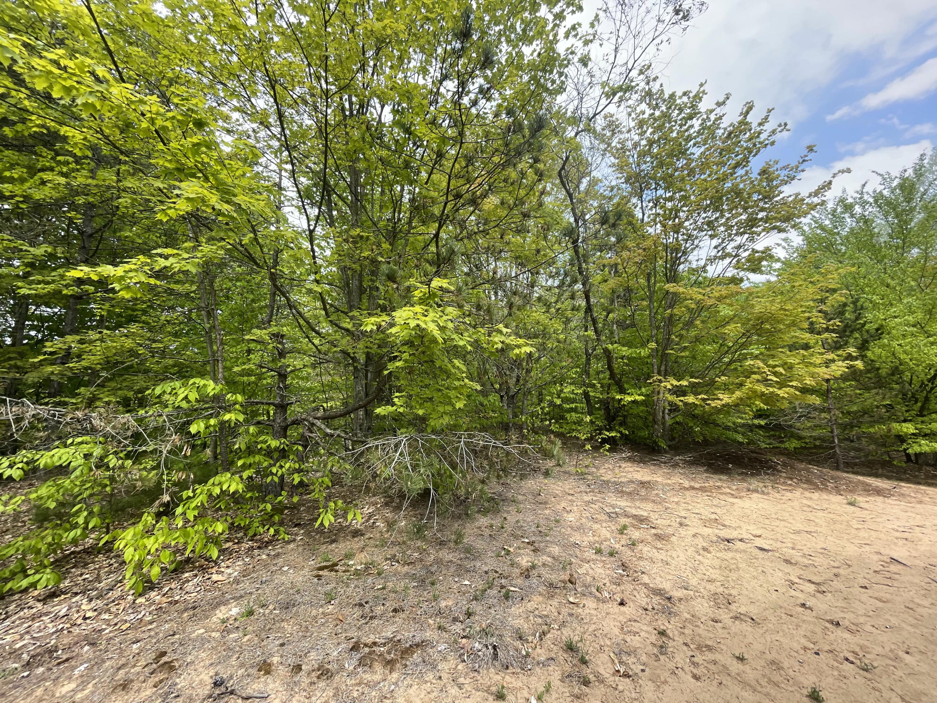7461 King Road Benzonia, MI 49616 - Photo 23 of 30 15