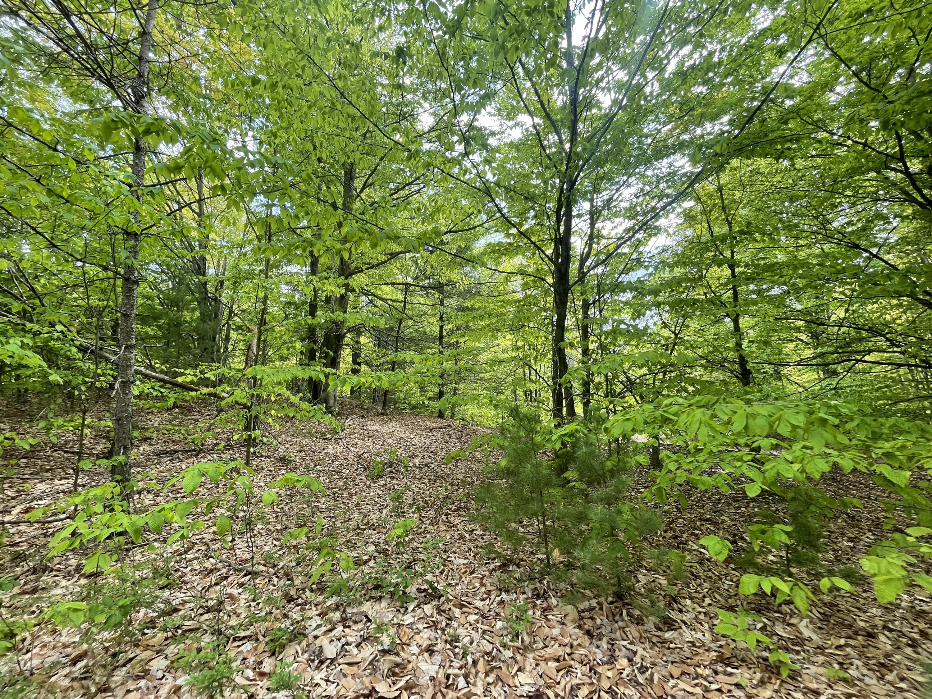 7461 King Road Benzonia, MI 49616 - Photo 24 of 30 16