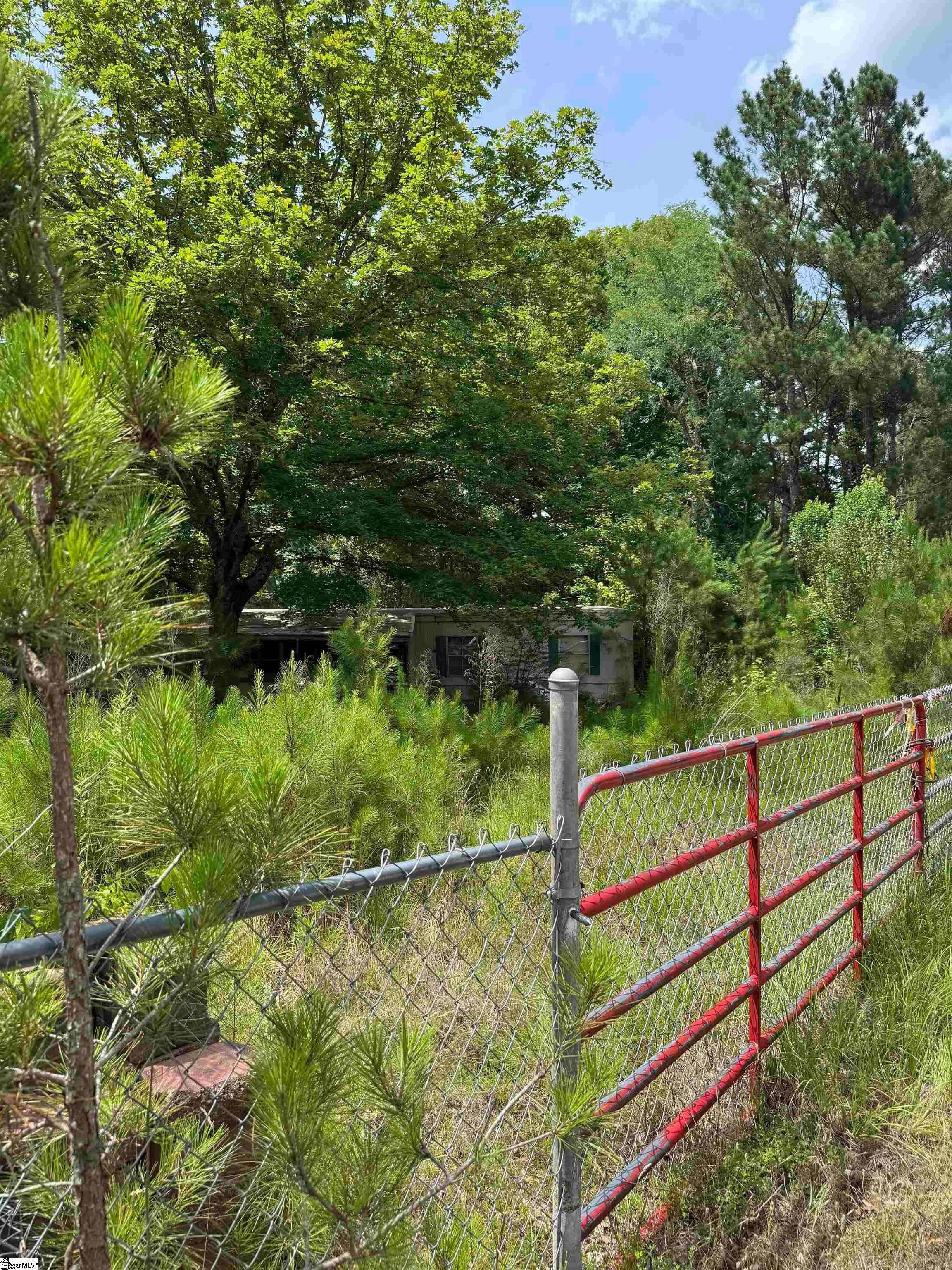 659 Dove Field Road Cross Hill, SC 29332 - Photo 13 of 28