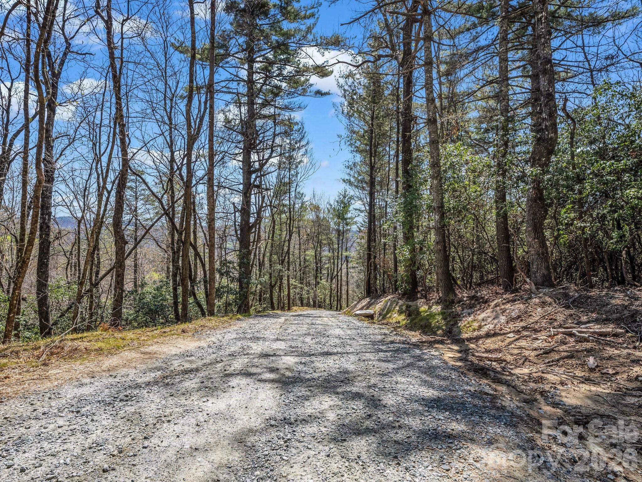 999 Bulling Creek Road Penrose, NC 28766 - Photo 4 of 37
