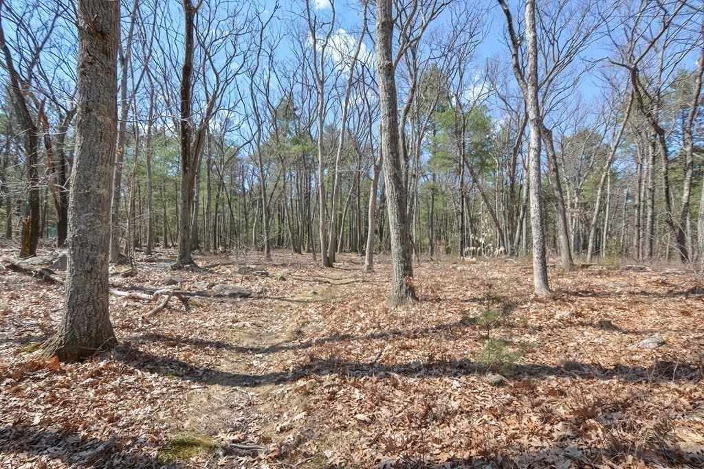 89 Granite Street Medfield, MA 02052 - Photo 36 of 42 Gallery Image 36