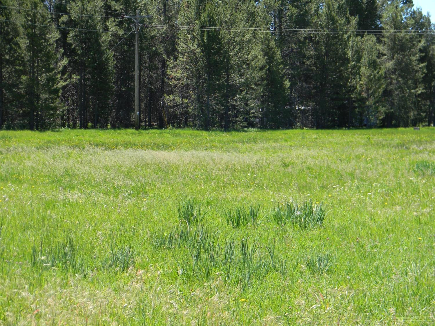 16999 Downey Road Bend, OR 97707 - Photo 6 of 7 Additional Photo