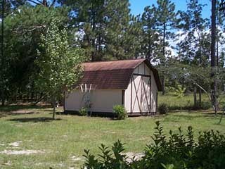 3649 Poverty Creek Road Crestview, FL 32539 - Photo 8 of 9 a view of backyard with barn and large trees