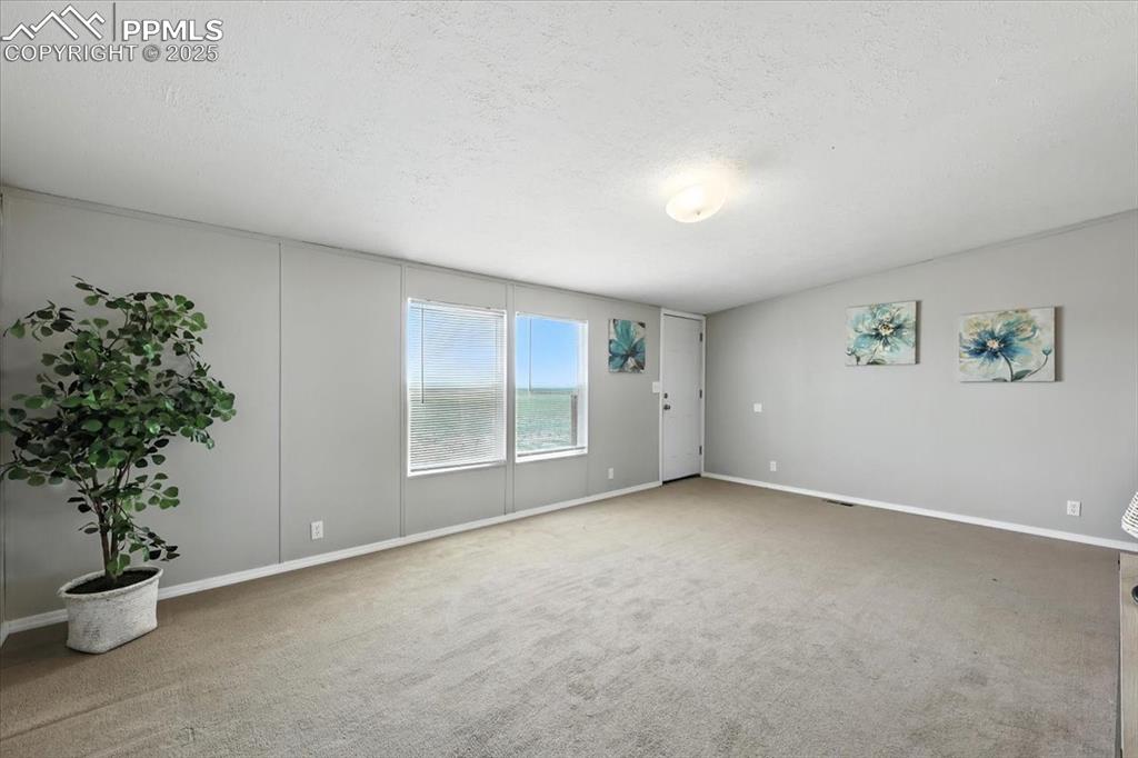 13560 Whittemore Road Yoder, CO 80864 - Photo 4 of 50 an empty room with windows and flower pot