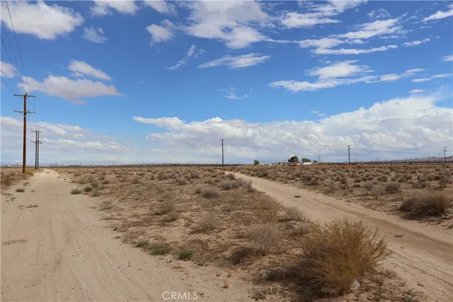 a view of a dry yard
