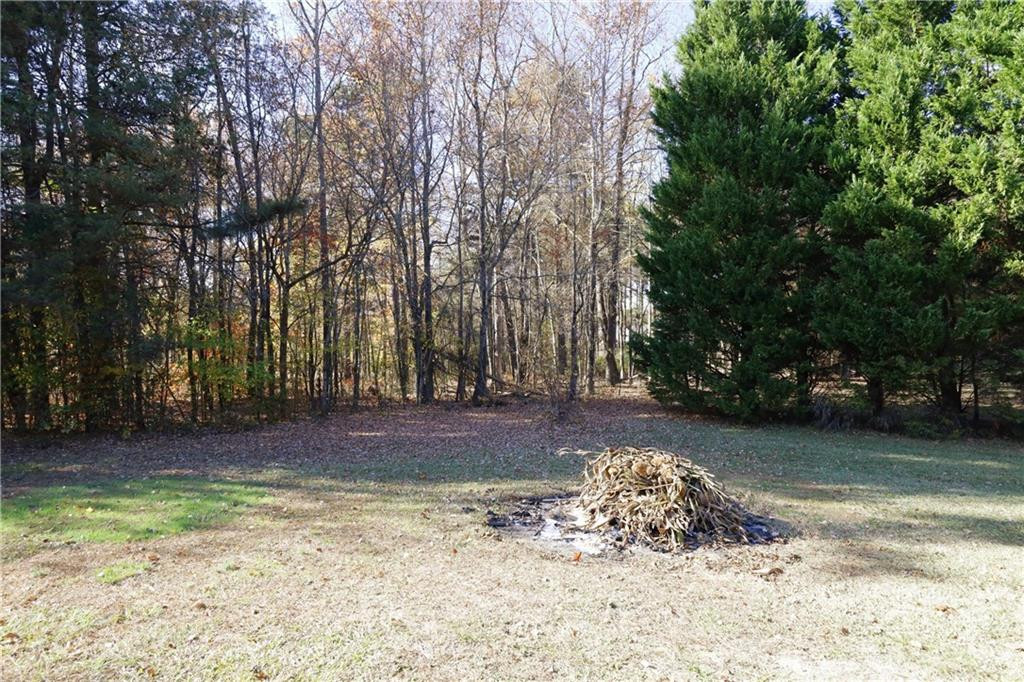 1670 Deep Creek Church Road Burlington, NC 27217 - Photo 32 of 36 a view of a yard with a tree