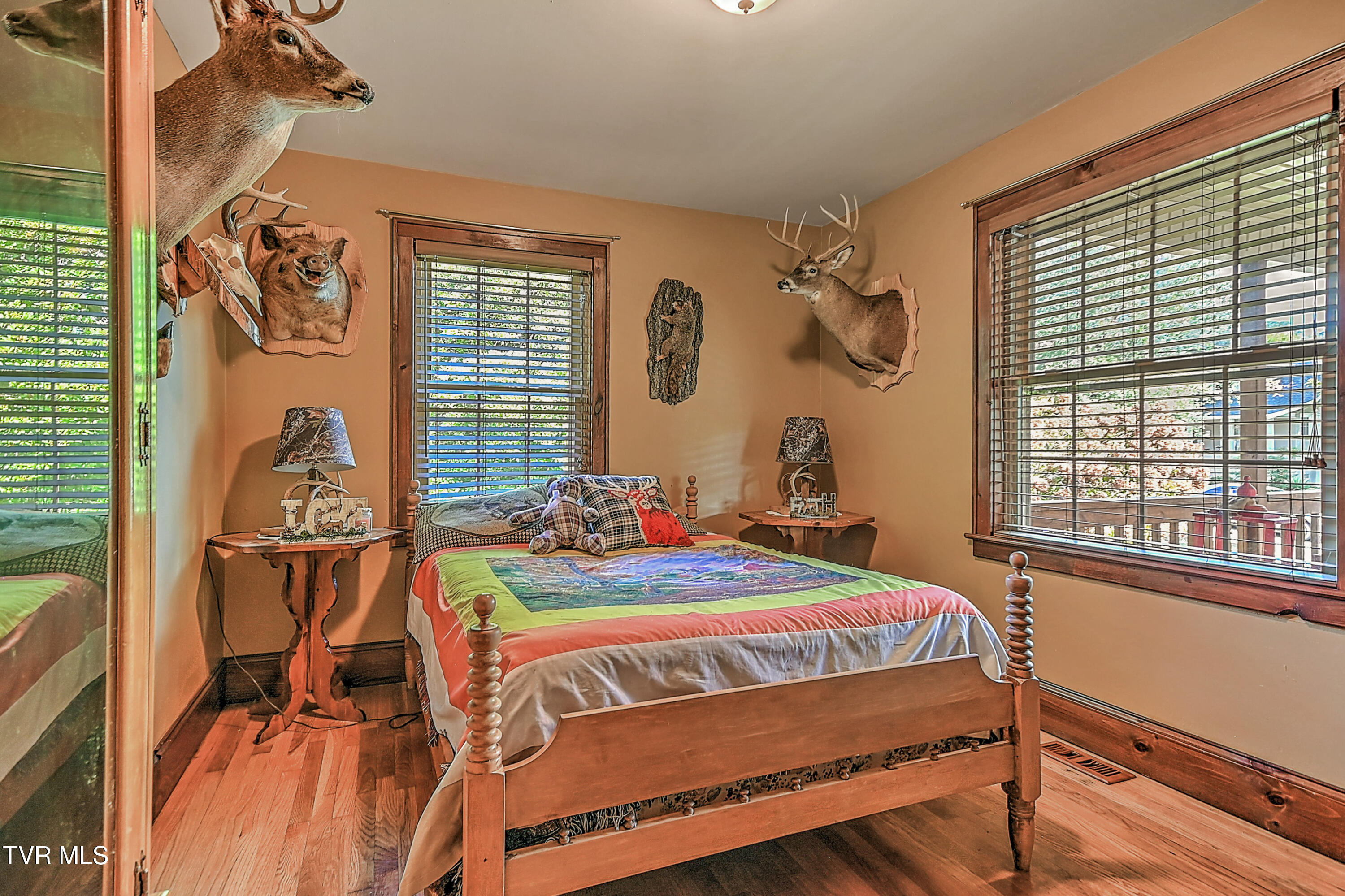 700 Park Street Bristol, VA 24201 - Photo 16 of 45 700 Park St DB-13